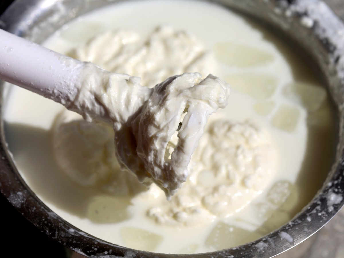 Mazada de leche
