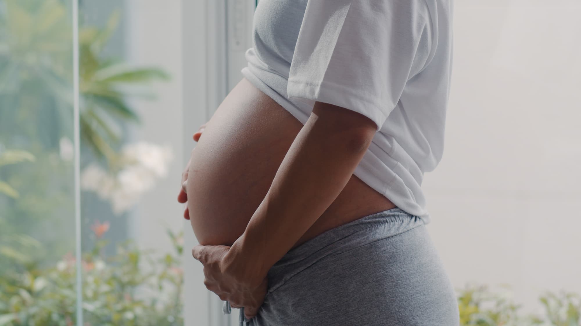 Qué quesos puede comer una embarazada guía completa para una dieta segura